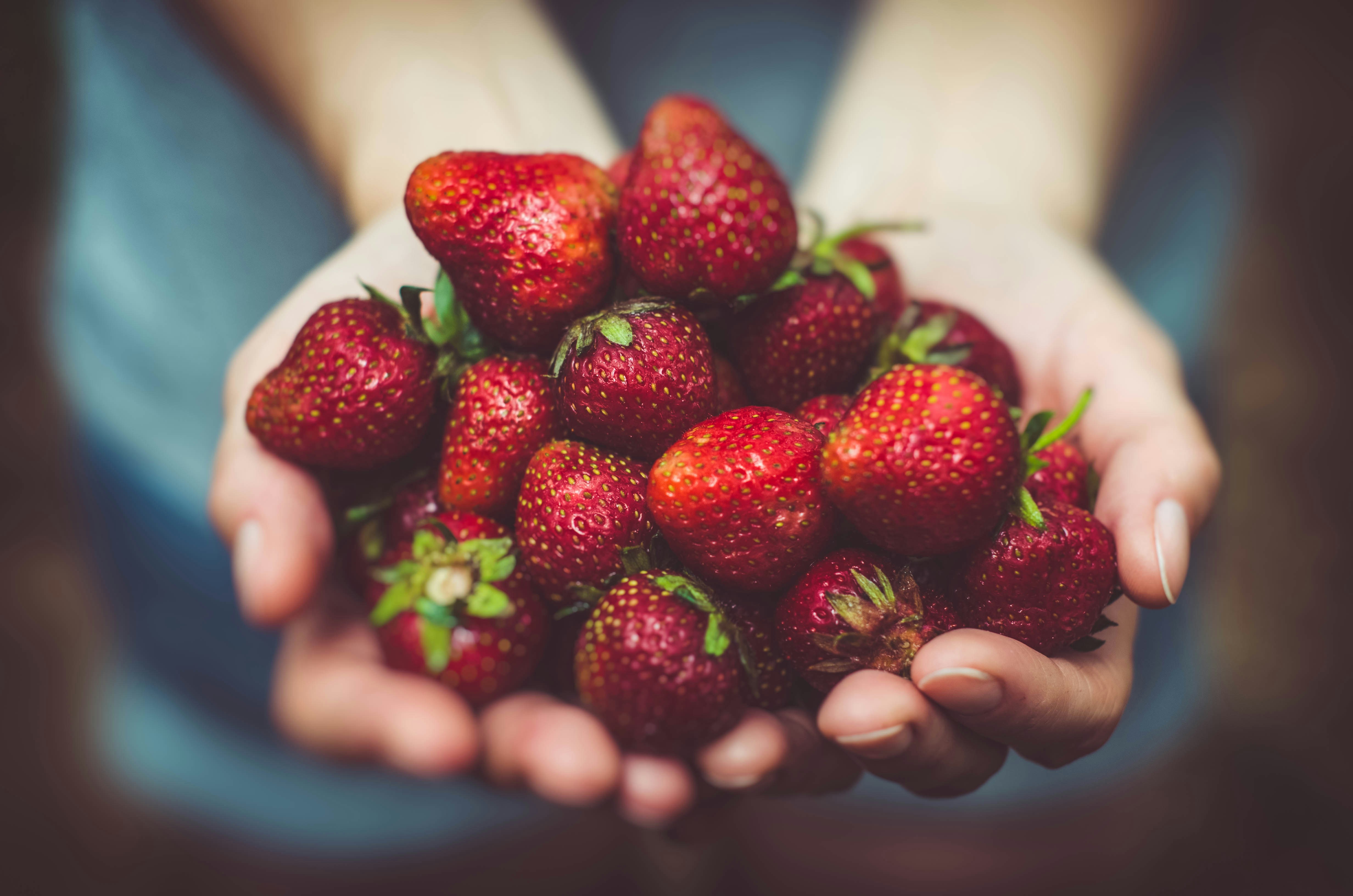 Un puñado de fresas frescas sujetadas por dos manos en forma de cuenco